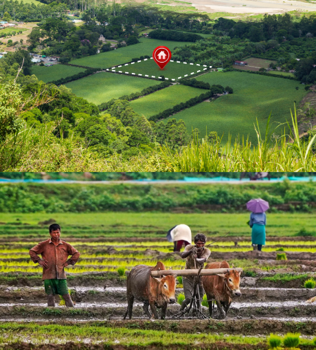 farming-land